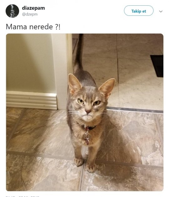 Mama Nerede