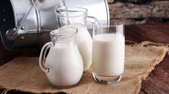 Sürahi ve Bardağa Konulmuş Süt