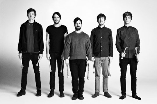 foals