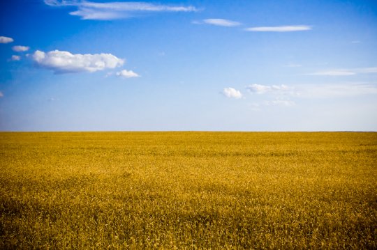 Ukrayna Bayrağını Temsil Eden Bir Tarla ve Muhteşem Gökyüzü