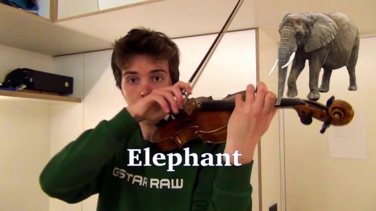 Animal sounds on violin