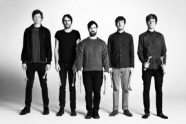 foals