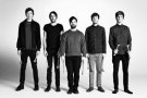 foals