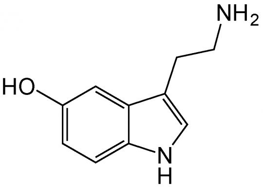 Serotonin hormonunun kimyasal gösterimi
