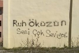 Ruh öküzün