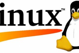 Linux Logo